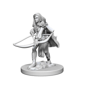 Paizo Human Female Fighter - The Gaming Verse