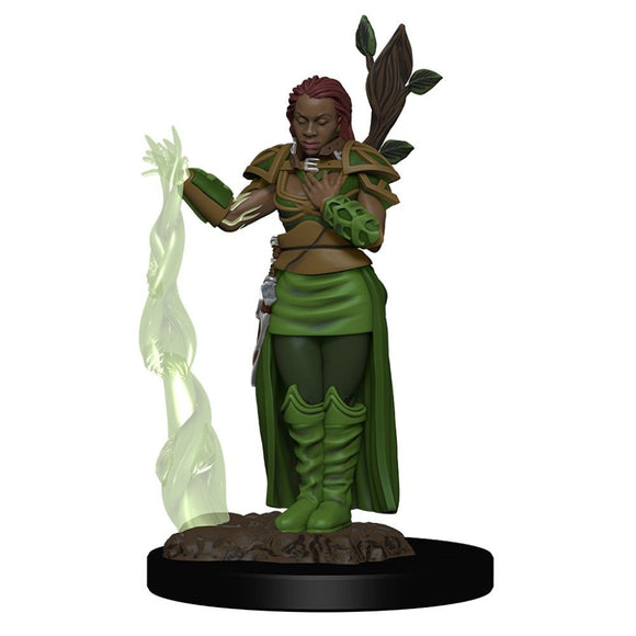 D&D - Premium Painted Figures Human Female Druid - The Gaming Verse
