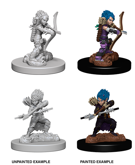 Pathfinder - Female Gnome Rogue - The Gaming Verse